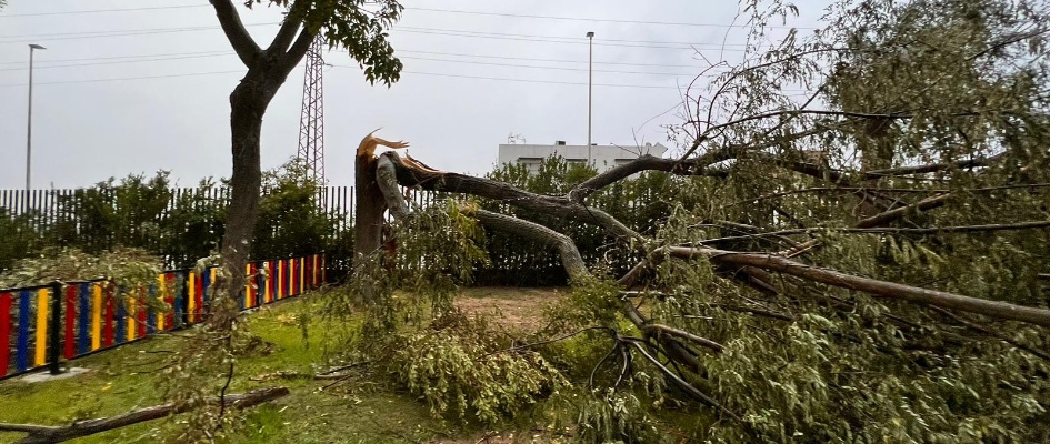 WhatsApp Image 2023-10-27 at 10.27.36