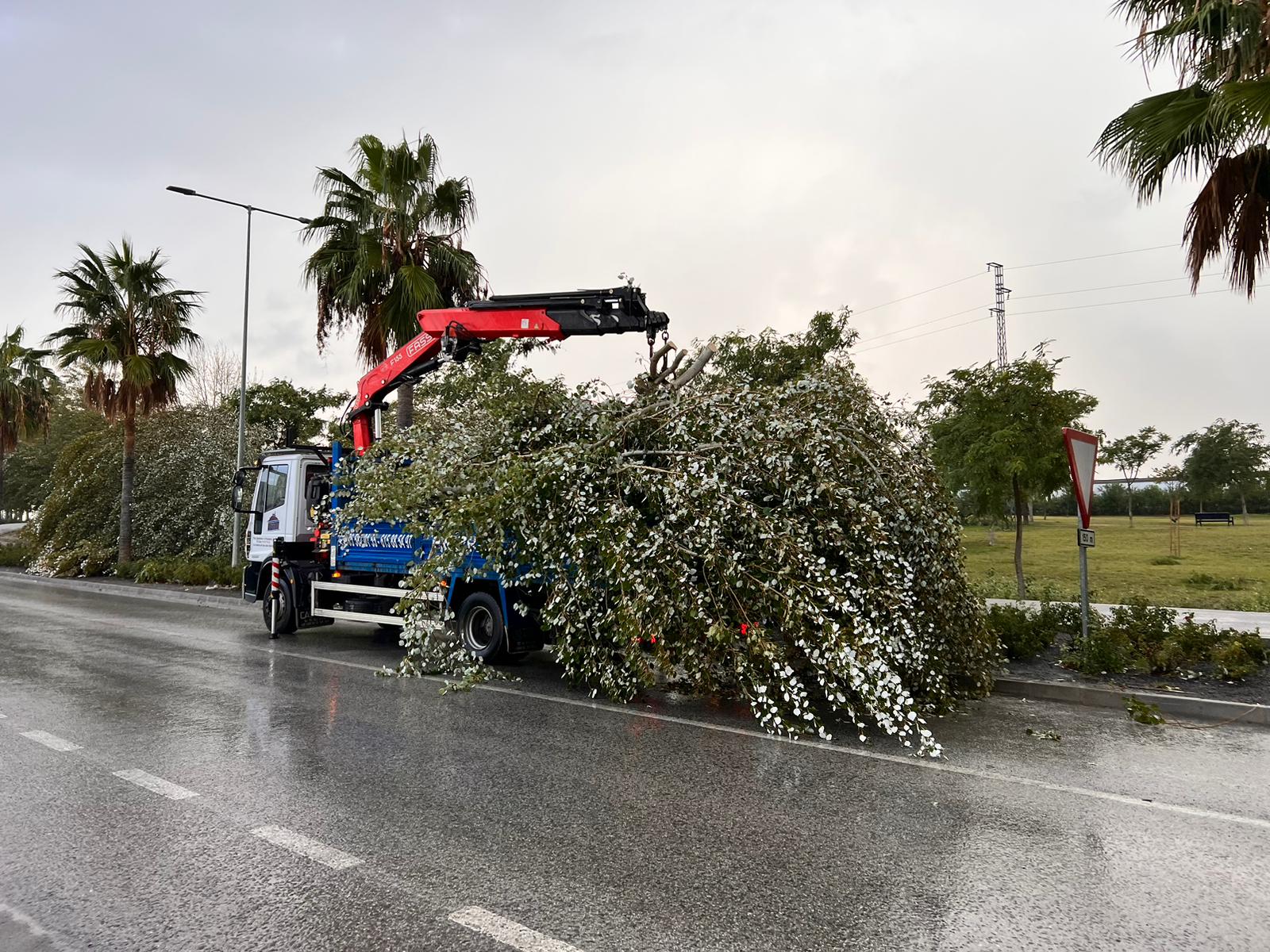 WhatsApp Image 2023-10-27 at 10.27.39