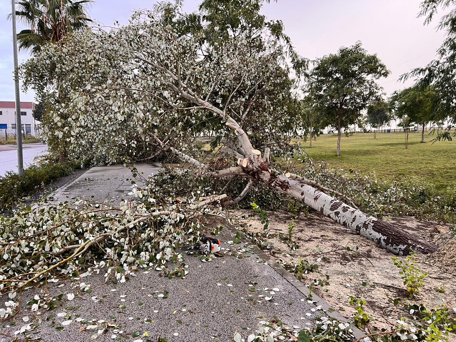 WhatsApp Image 2023-10-27 at 10.27.40