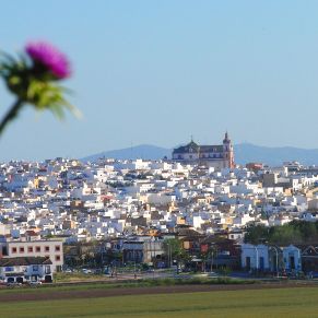 Las Cabezas de San Juan Sevilla Sur
