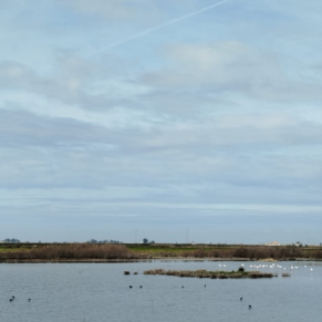 LAS CABEZAS DE SAN JUAN WEB (16)