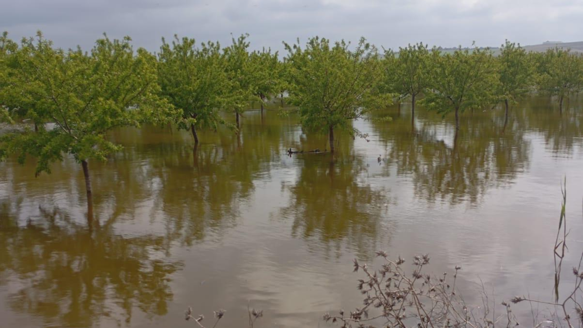 LAS CABEZAS DE SAN JUAN WEB (47)