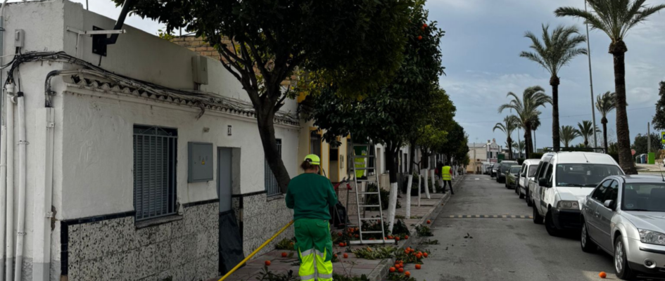 LAS CABEZAS DE SAN JUAN WEB(119)