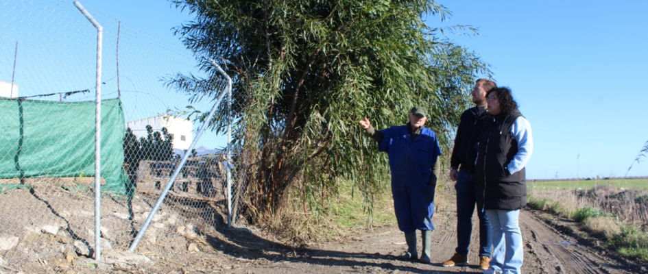 LAS CABEZAS DE SAN JUAN WEB(131)