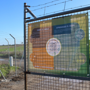 LAS CABEZAS DE SAN JUAN WEB(133)