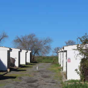 LAS CABEZAS DE SAN JUAN WEB(134)