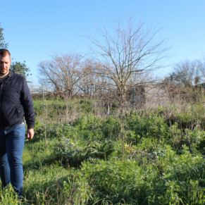 LAS CABEZAS DE SAN JUAN WEB(136)