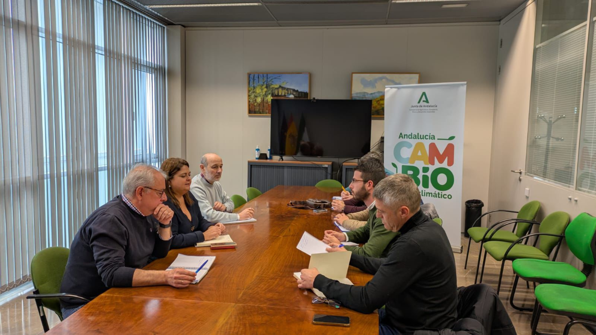 LAS CABEZAS DE SAN JUAN WEB(139)