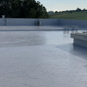 LAS CABEZAS DE SAN JUAN WEB(154)