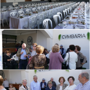 Nueva Colección aesthetic Post vertical Instagram(16)