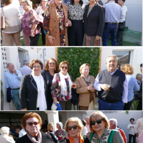 Nueva Colección aesthetic Post vertical Instagram(17)