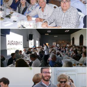 Nueva Colección aesthetic Post vertical Instagram(18)