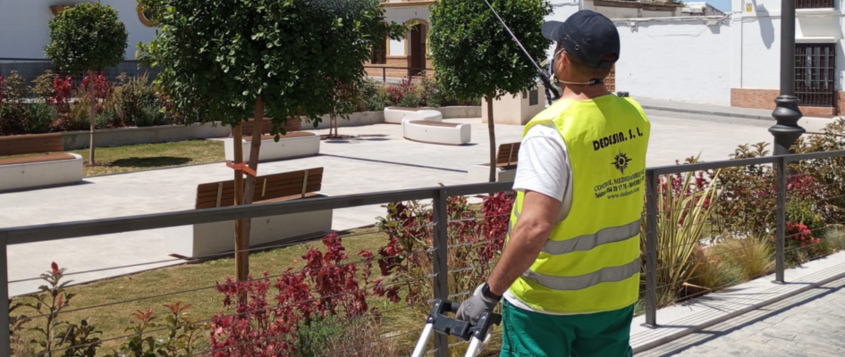 imagenes para web(50)